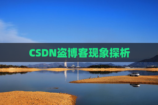 CSDN盗博客现象探析